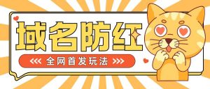 0基础搭建域名防红告别被封风险,学会可对外接单,一单收200+【揭秘】-赚金金-技能学习分享