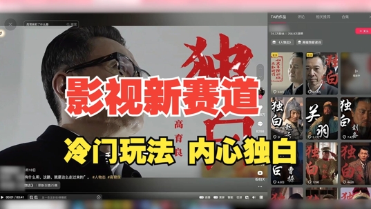 最新影视解说玩法，人物独白，30天涨粉24万+，全流程拆解【揭秘】-赚金金-技能学习分享