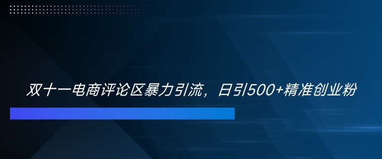 双十一电商评论区暴力引流，日引500+精准创业粉【揭秘】-赚金金-技能学习分享