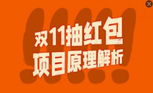 双11抽红包视频裂变项目【完整制作攻略】_长期的暴利打法-赚金金-技能学习分享
