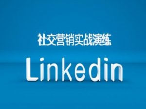 社交营销实战演练之Linkedin营销课程,B2B跨境外贸的新出路-赚金金-技能学习分享