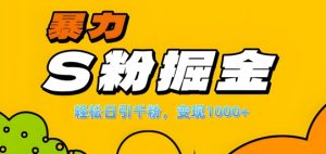 单人单机日引千粉,变现1k+,S粉流量掘金计划攻略【揭秘】-赚金金-技能学习分享