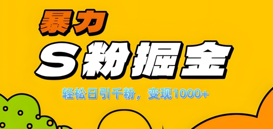 单人单机日引千粉，变现1k+，S粉流量掘金计划攻略【揭秘】-赚金金-技能学习分享