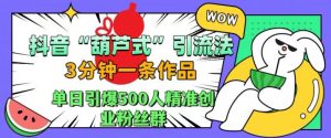 抖音葫芦式引流法，三分钟一条作品，单日引爆抖音500人精准创业粉丝群【揭秘】-赚金金-技能学习分享