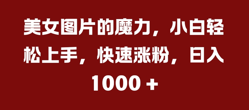 美女图片的魔力，小白轻松上手，快速涨粉，日入几张【揭秘】-赚金金-技能学习分享