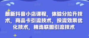 最新抖音小店课程,体验分拉升技术,商品卡引流技术,投流效果优化技术,精选联盟引流技术-赚金金-技能学习分享