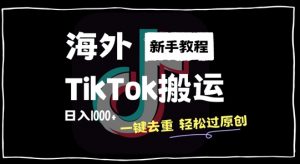 2024最新海外TikTok搬运玩法，一键去重轻松过原创，新手无经验也能日入1k【揭秘】-赚金金-技能学习分享
