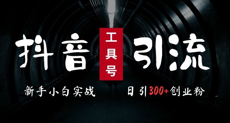 2024最新抖音工具号引流玩法，高效日引300+创业粉，当天变现5k，小白也可成为实战高手-赚金金-技能学习分享