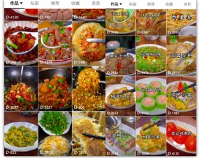 抖音带货美食领域课程，无需真人实拍仅靠剪辑实现涨粉-赚金金-技能学习分享