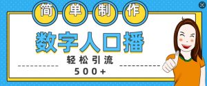 简单制作数字人口播轻松引流500+精准创业粉【揭秘】-赚金金-技能学习分享