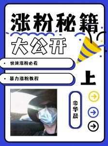 最新AI美女玩法,颜值暴力涨粉教程,涨粉秘籍大公开-赚金金-技能学习分享