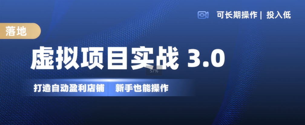 虚拟项目实战3.0，打造自动盈利店铺，可长期操作投入低，新手也能操作-赚金金-技能学习分享