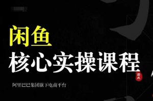 2024闲鱼核心实操课程,从养号、选品、发布、销售,教你做一个出单的闲鱼号-赚金金-技能学习分享