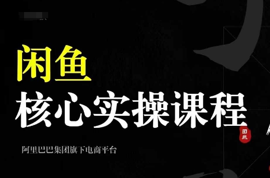 2024闲鱼核心实操课程，从养号、选品、发布、销售，教你做一个出单的闲鱼号-赚金金-技能学习分享