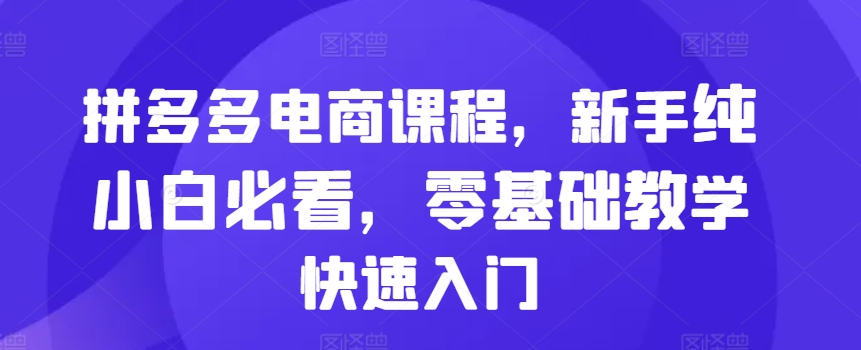拼多多电商课程，新手纯小白必看，零基础教学快速入门-赚金金-技能学习分享