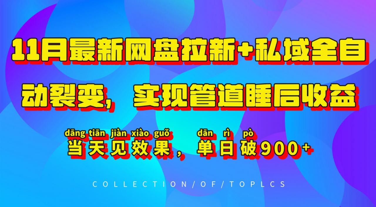 11月最新网盘拉新+私域全自动裂变,实现管道睡后收益,当天见效果,单日破900+-赚金金-技能学习分享