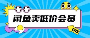 外面收费998的闲鱼低价充值会员搬砖玩法号称日入200+-赚金金-技能学习分享