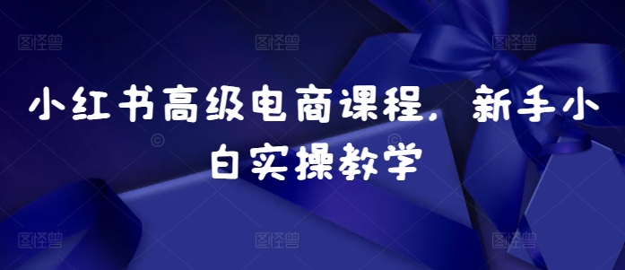 小红书高级电商课程,新手小白实操教学-赚金金-技能学习分享