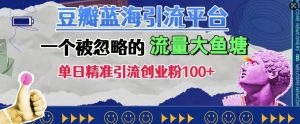 豆瓣蓝海引流平台,一个被忽略的流量大鱼塘,单日精准引流创业粉100+-赚金金-技能学习分享