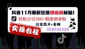 抖音11月最新狂揽创业粉秘籍,轻松日引300+精准创业粉,仅需图片+音频,轻松搞定创业类视频-赚金金-技能学习分享