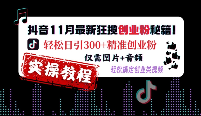 抖音11月最新狂揽创业粉秘籍，轻松日引300+精准创业粉，仅需图片+音频，轻松搞定创业类视频-赚金金-技能学习分享