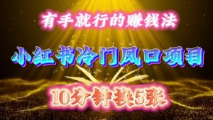 每天 10 分钟,小红书冷门风口项目开启,有手就行的搬运赚钱法,小白日入500 +【揭秘】-赚金金-技能学习分享