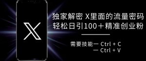独家解密 X 里面的流量密码,复制粘贴轻松日引100+-赚金金-技能学习分享