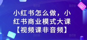 小红书怎么做,小红书商业模式大课【视频课非音频】-赚金金-技能学习分享