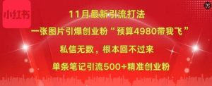 小红书11月最新图片打粉,一张图片引爆创业粉,“预算4980带我飞”,单条引流500+精准创业粉-赚金金-技能学习分享