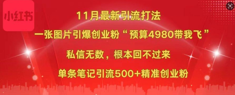 小红书11月最新图片打粉，一张图片引爆创业粉，“预算4980带我飞”，单条引流500+精准创业粉-赚金金-技能学习分享