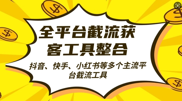 全平台截流获客工县整合全自动引流，日引2000+精准客户【揭秘】-赚金金-技能学习分享