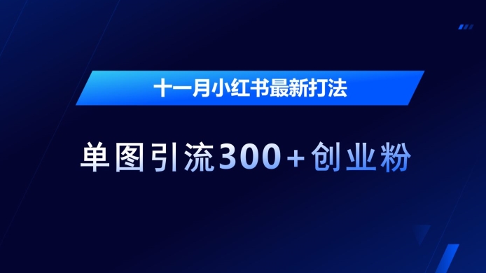 十一月小红书最新打法，单图引流300+创业粉【揭秘】-赚金金-技能学习分享