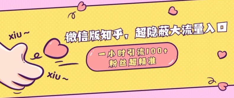 微信版知乎，超隐蔽流量入口1小时引流100人，粉丝质量超高【揭秘】-赚金金-技能学习分享