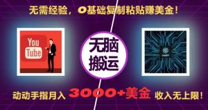 无需经验,0基础复制粘贴赚美刀,动动手指,月入3000+刀,无上限【揭秘】-赚金金-技能学习分享
