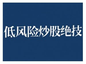 2024低风险股票实操营,低风险,高回报-赚金金-技能学习分享