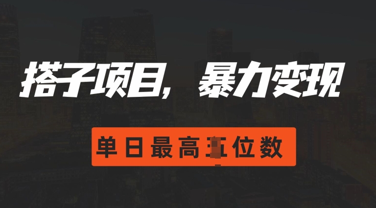 2024搭子玩法，0门槛，暴力变现，单日最高破四位数【揭秘】-赚金金-技能学习分享