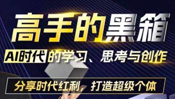 高手的黑箱:AI时代学习、思考与创作-分红时代红利,打造超级个体-赚金金-技能学习分享