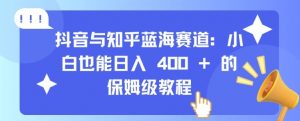 抖音与知乎蓝海赛道:小白也能日入 4张 的保姆级教程-赚金金-技能学习分享