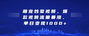 萌宠炒菜视频,爆款视频流量暴涨,单日变现1k-赚金金-技能学习分享