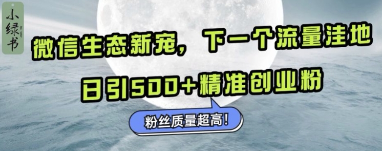 微信生态新宠小绿书：下一个流量洼地，日引500+精准创业粉，粉丝质量超高-赚金金-技能学习分享