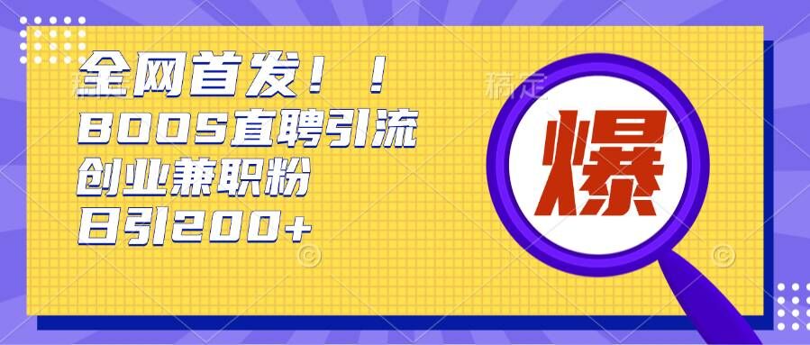 通过Boss直聘，每天轻松钓到200+多条创业大鱼的秘籍【揭秘】-赚金金-技能学习分享
