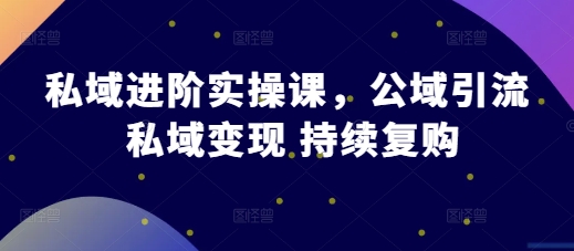 私域进阶实操课，公域引流 私域变现 持续复购-赚金金-技能学习分享