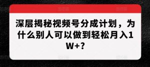 深层揭秘视频号分成计划,为什么别人可以做到轻松月入1W+?-赚金金-技能学习分享