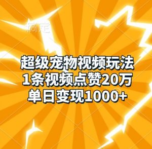 超级宠物视频玩法，1条视频点赞20万，单日变现1k-赚金金-技能学习分享