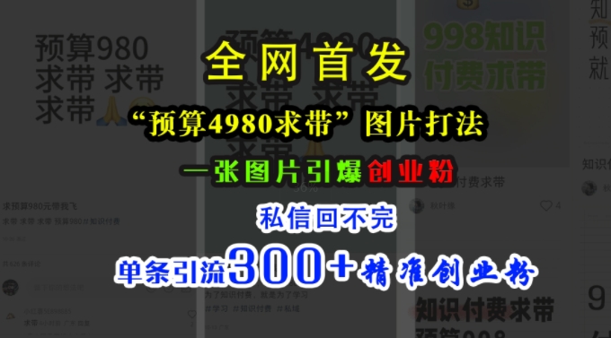 小红书“预算4980带我飞”图片打法，一张图片引爆创业粉，私信回不完，单条引流300+精准创业粉-赚金金-技能学习分享