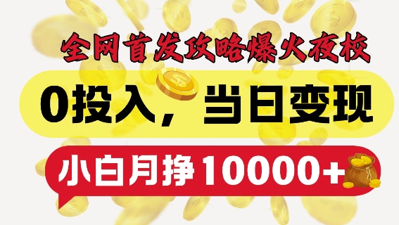 全网首发爆火夜校，0投入，当日变现，小白轻松月入1w+【揭秘】-赚金金-技能学习分享