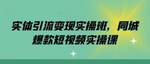 实体引流变现实操班,同城爆款短视频实操课-赚金金-技能学习分享