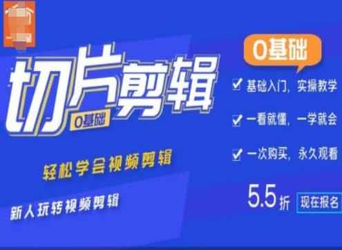 0基础IP切片剪辑，轻松学会视频剪辑，新人玩转视频剪辑-赚金金-技能学习分享