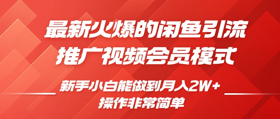 闲鱼引流推广影视会员，0成本就可以操作，新手小白月入过W+【揭秘】-赚金金-技能学习分享