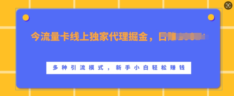 流量卡线上独家代理掘金，日入1k+ ，多种引流模式，新手小白轻松上手【揭秘】-赚金金-技能学习分享